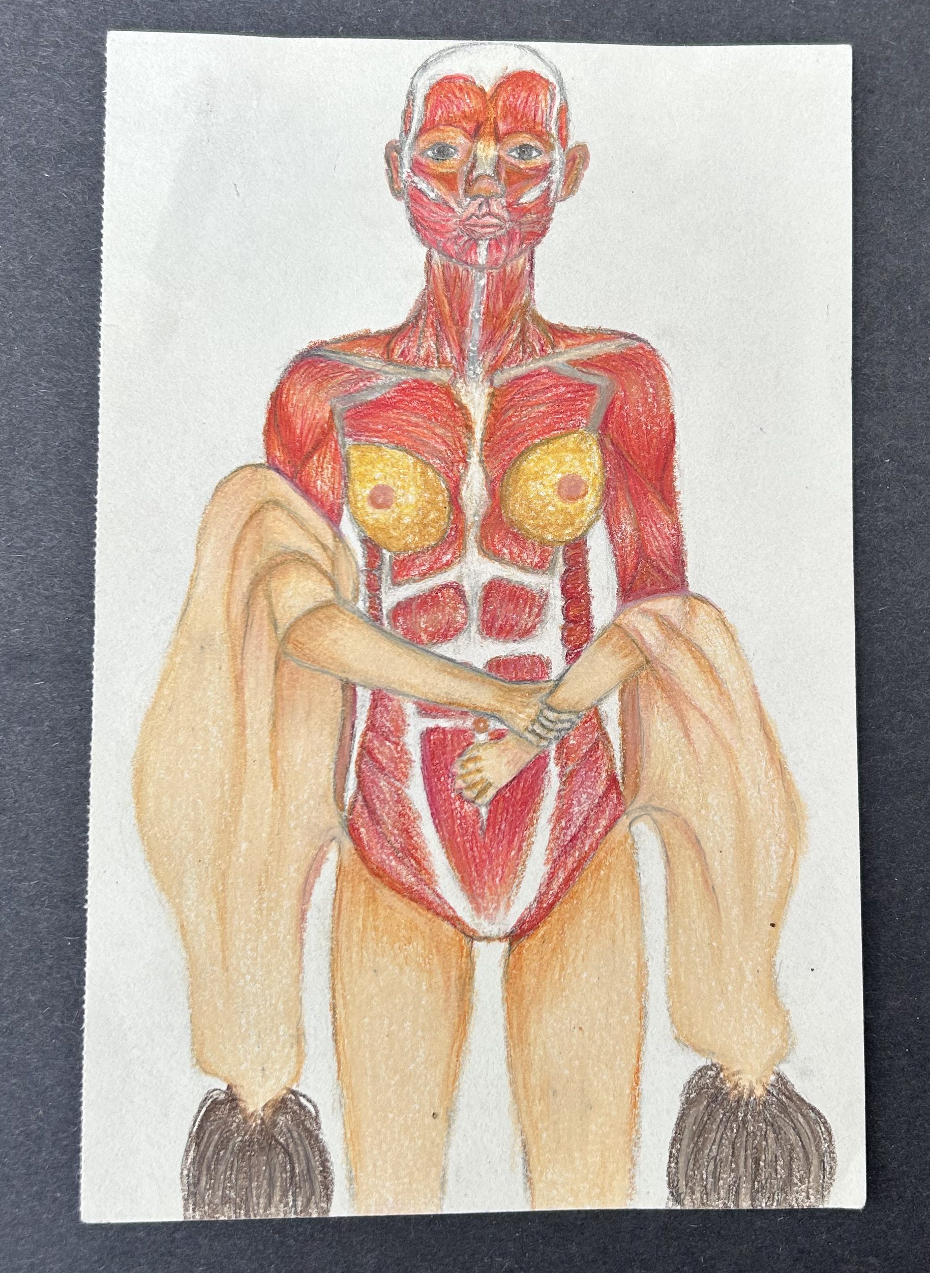 From my AP&nbsp;Portfolio